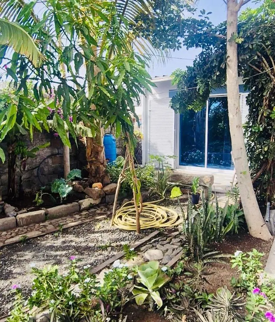 Casa Chiquinha Apartment Ribeira da Prata