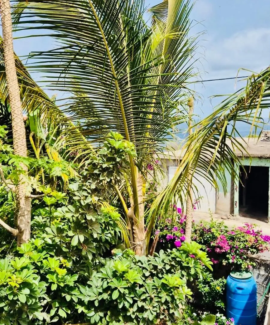 Casa Chiquinha Apartment Ribeira da Prata